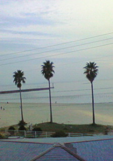 200811021707000.jpg